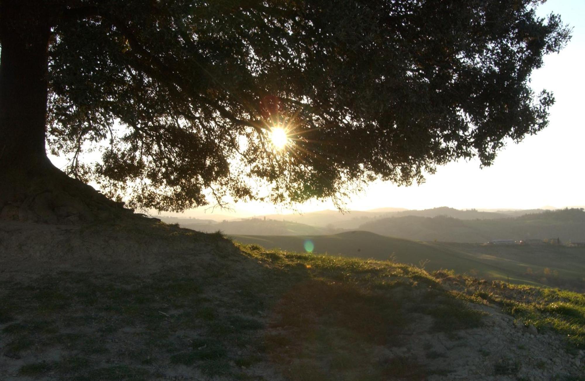 Fattoria Pieve A Salti Villa Buonconvento Buitenkant foto