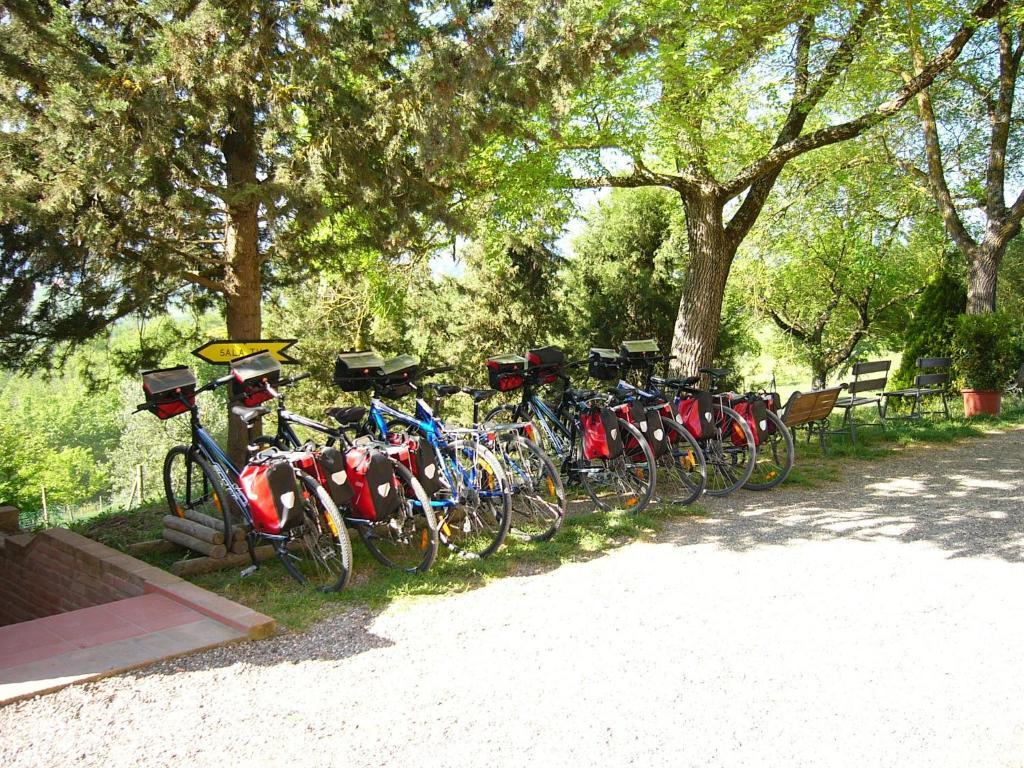 Fattoria Pieve A Salti Villa Buonconvento Buitenkant foto