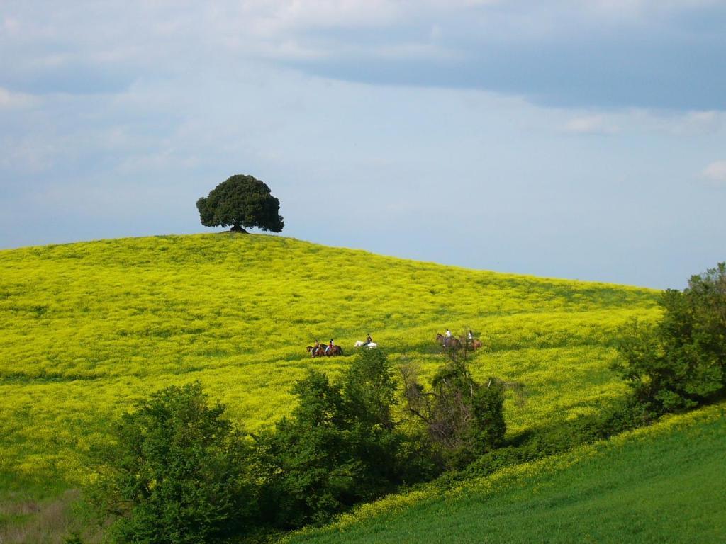 Fattoria Pieve A Salti Villa Buonconvento Buitenkant foto