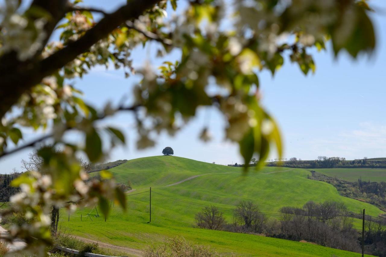 Fattoria Pieve A Salti Villa Buonconvento Buitenkant foto